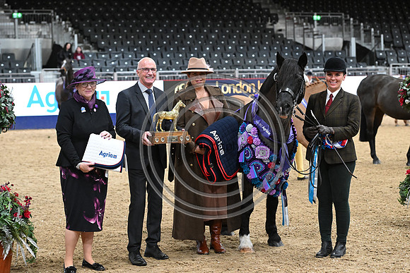 London International Horse Show