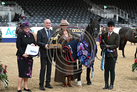 London International Horse Show