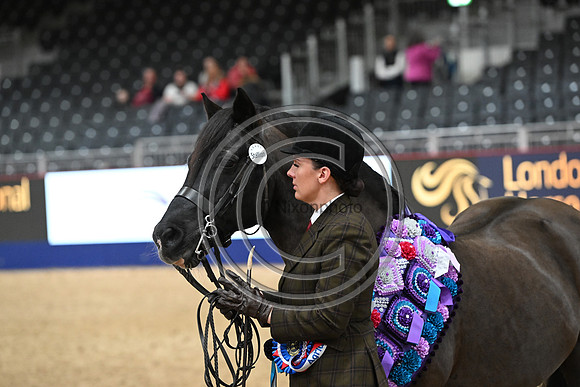 London International Horse Show