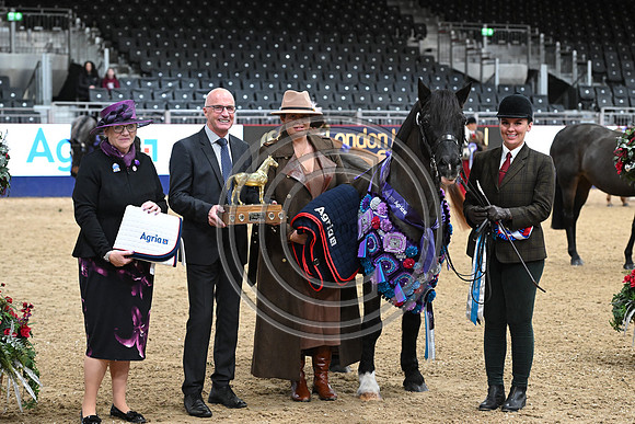 London International Horse Show