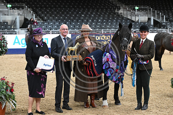 London International Horse Show