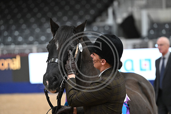 London International Horse Show