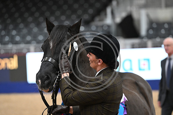 London International Horse Show
