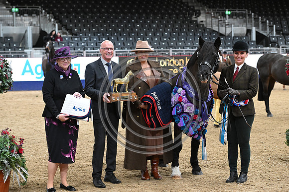 London International Horse Show