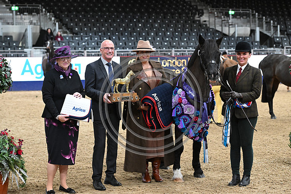 London International Horse Show