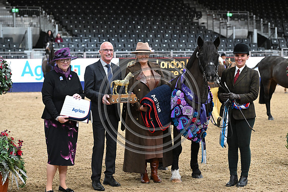 London International Horse Show