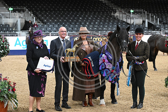 London International Horse Show