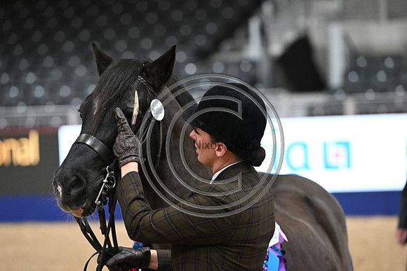 London International Horse Show