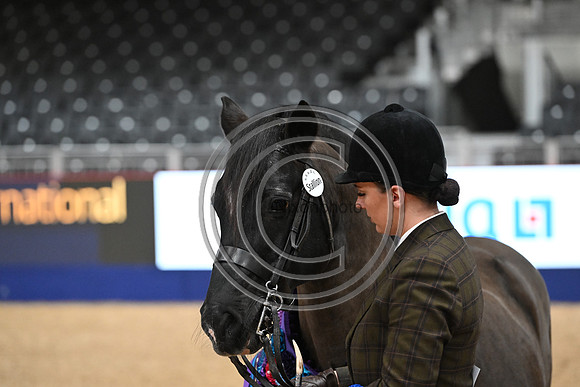 London International Horse Show