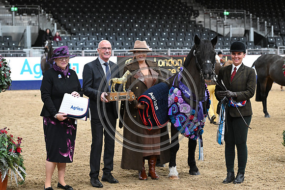 London International Horse Show