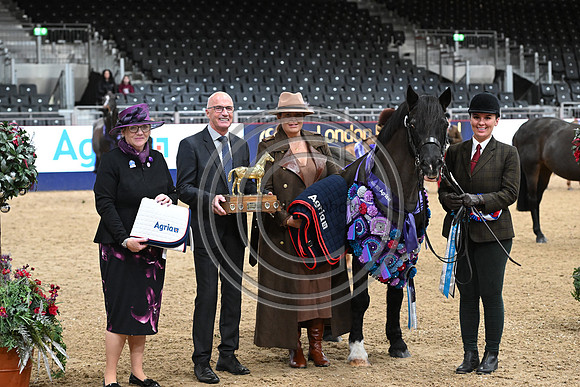 London International Horse Show