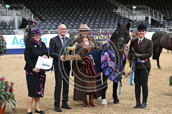 London International Horse Show
