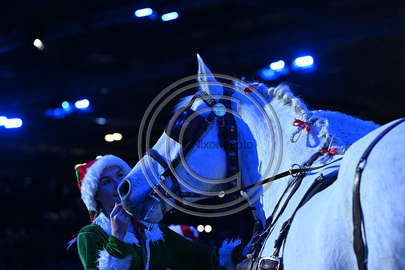 London International Horse Show