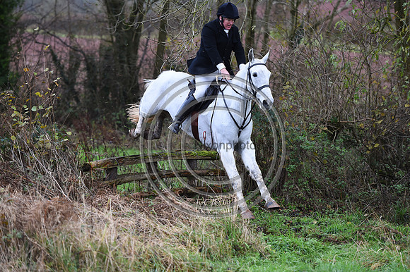 Ludlow_Hunting_192