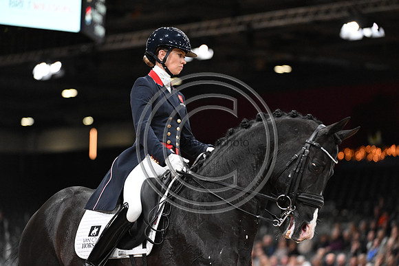 LottieFRY_EVERDALE_LIHS_PN23_116754