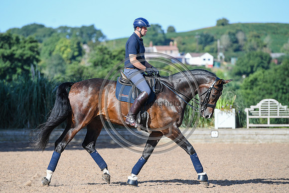 Collective Equestrian