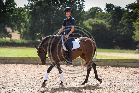 Collective Equestrian