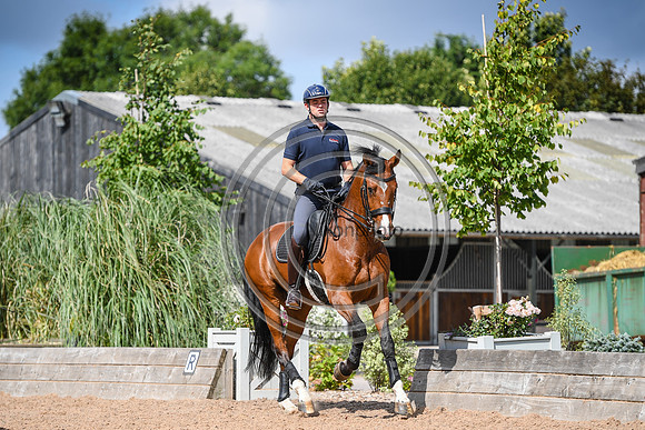 Collective Equestrian