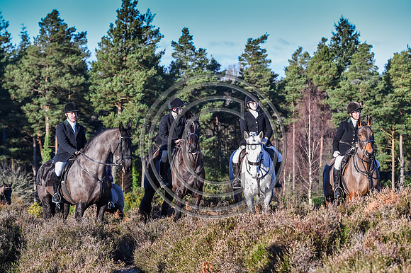 NFH_Hunting_PN23_121634