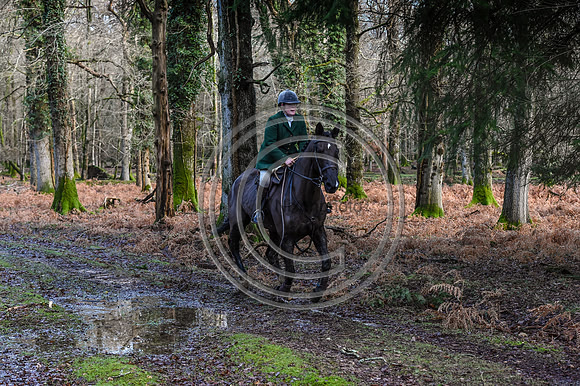 NFH_Hunting_PN23_121660