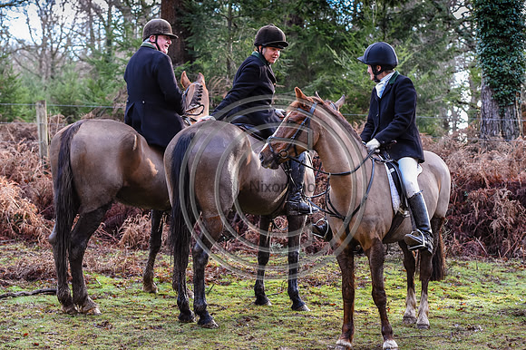 NFH_Hunting_PN23_121715