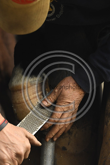 Nigel Perrott_Farrier_PN20_51843