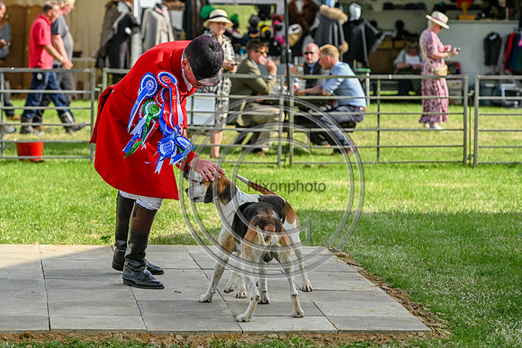 Festival of Hounds 2024