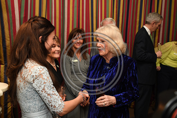 DUCHESS OF CORNWALL_BEF_PN22_10851