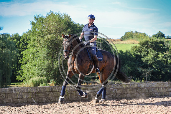 Collective Equestrian