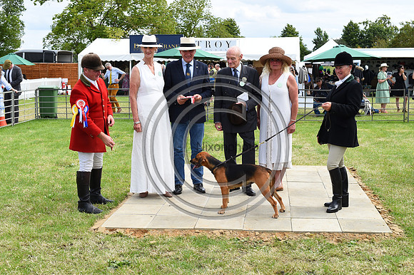 Festival of Hounds 2024