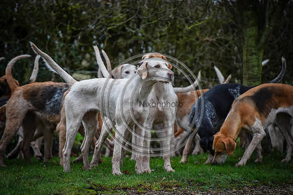 Bicester with Whaddon Chase Hunts