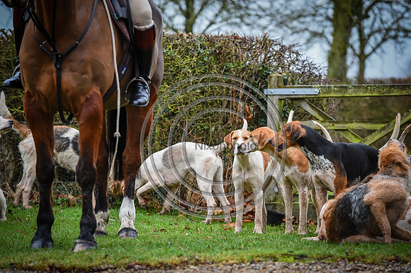 Bicester with Whaddon Chase Hunts