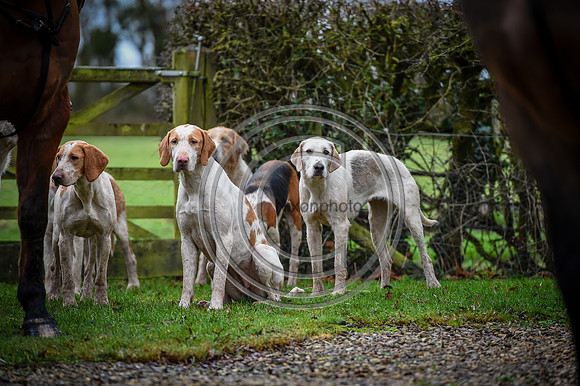 Bicester with Whaddon Chase Hunts