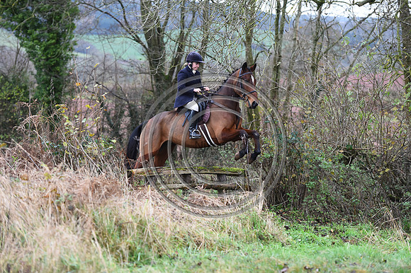 Ludlow_Hunting_27
