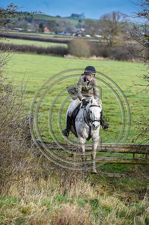 Bicester with Whaddon Chase Hunts
