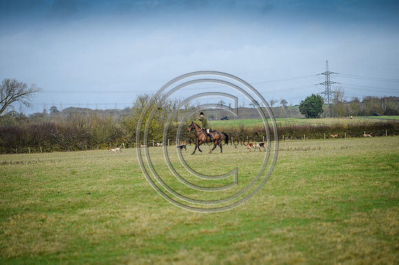 Bicester with Whaddon Chase Hunts