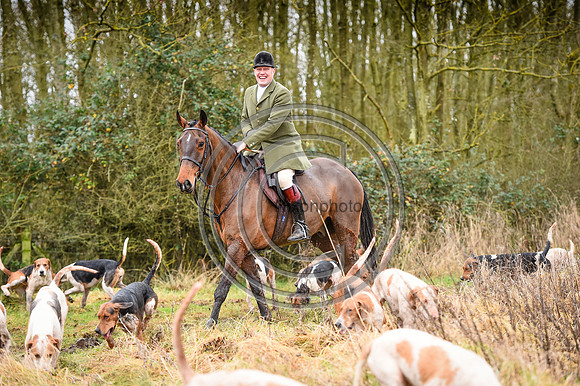 Bicester with Whaddon Chase Hunts