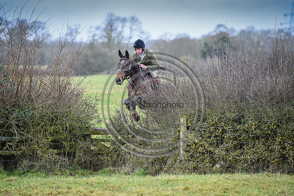 Bicester with Whaddon Chase Hunts