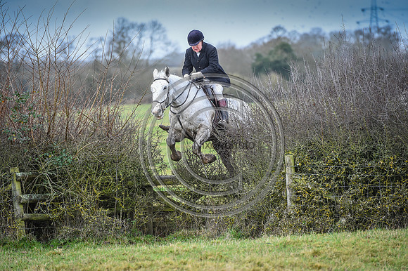 Bicester with Whaddon Chase Hunts
