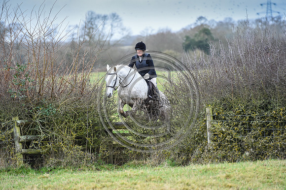 Bicester with Whaddon Chase Hunts