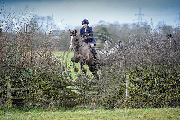 Bicester with Whaddon Chase Hunts