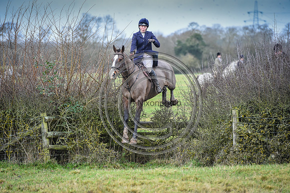 Bicester with Whaddon Chase Hunts