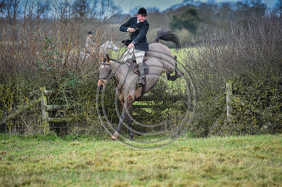 Bicester with Whaddon Chase Hunts