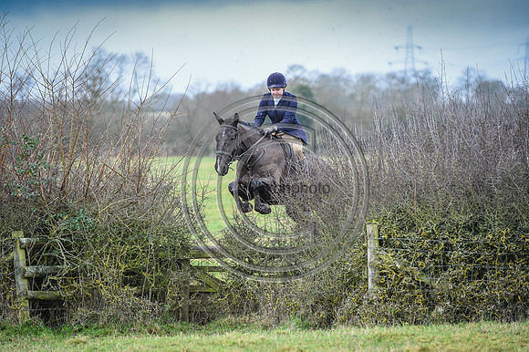 Bicester with Whaddon Chase Hunts