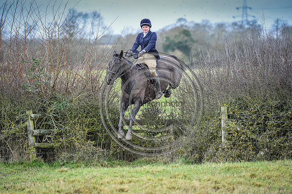 Bicester with Whaddon Chase Hunts