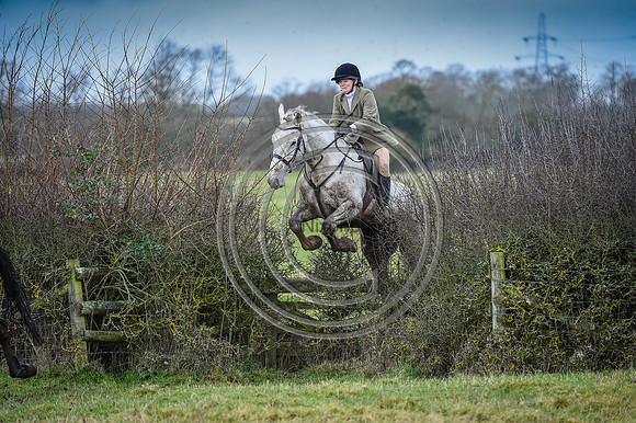 Bicester with Whaddon Chase Hunts