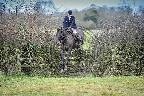 Bicester with Whaddon Chase Hunts