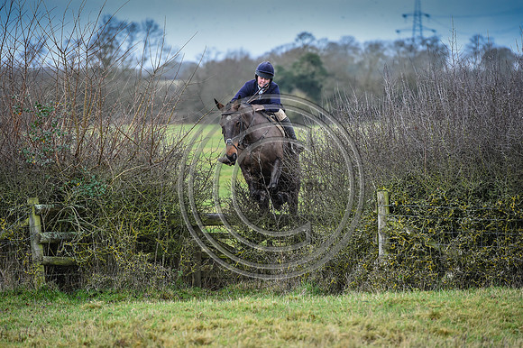 Bicester with Whaddon Chase Hunts