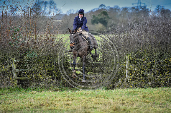 Bicester with Whaddon Chase Hunts