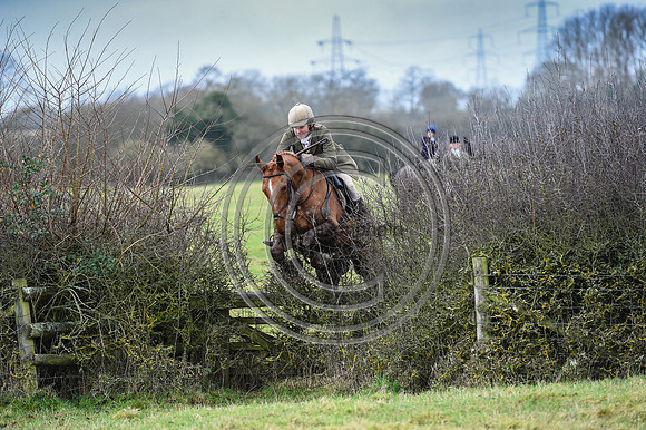 Bicester with Whaddon Chase Hunts